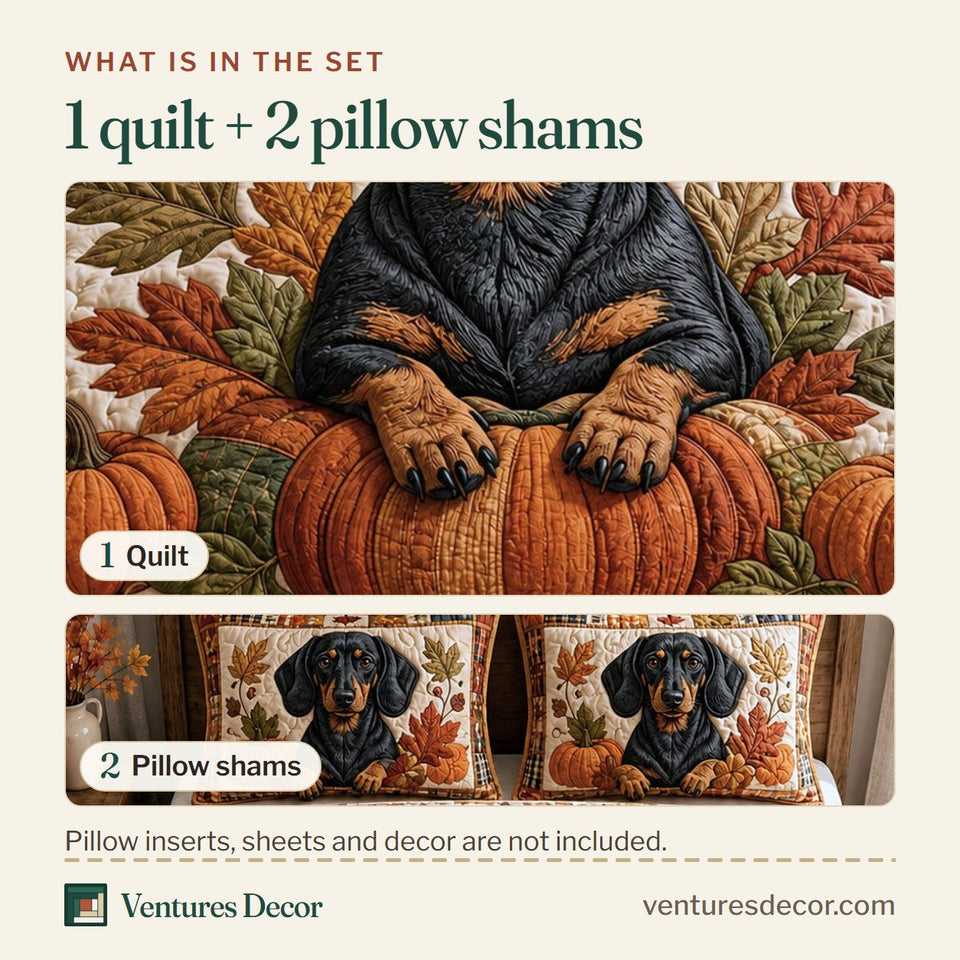 What is in the set: one quilt and two pillow shams, shown in the Dachshund Pumpkin Autumn Cuddle design